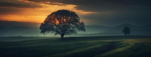 A lone tree stands on a grassy hill with a sunset in the background photo