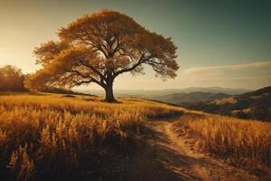 A lone tree stands in the middle of a field photo