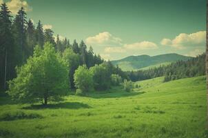 A green field with trees and mountains in the background photo