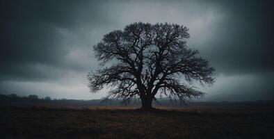 A lone tree stands in a field under a dark sky photo