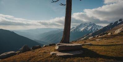 A lone tree sits on top of a mountain with a view of the valley photo