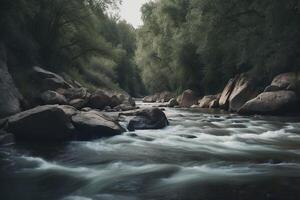A river flowing through a forest with rocks and trees photo
