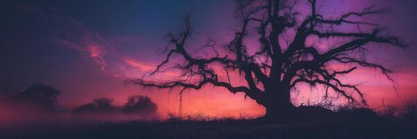 A tree in the middle of a foggy field at sunset photo