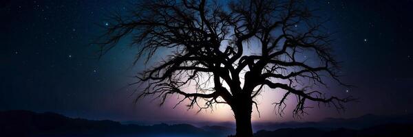 A tree in the dark with a moon in the background photo