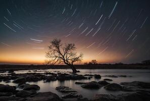 Star trails over a tree in the middle of a river photo