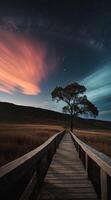 A wooden walkway leads to a tree in the middle of a field photo