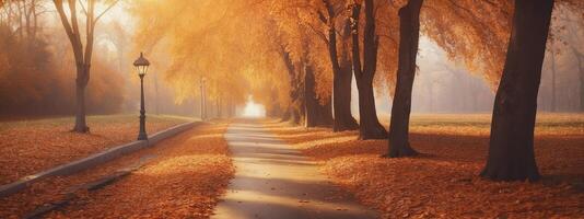 Autumn path in the park with trees and leaves photo