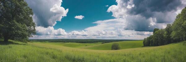 A green field with trees and clouds photo
