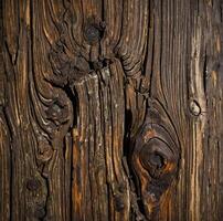 Close up of a wood panel with knots photo