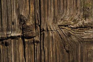 A close up of a wooden wall with knots photo