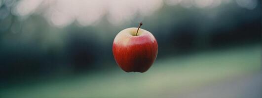 An apple is hanging from a branch in the air photo