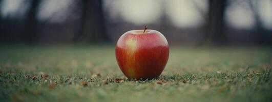 An apple sitting on the grass in the middle of a field photo