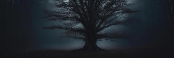 A dark tree in the middle of a forest photo
