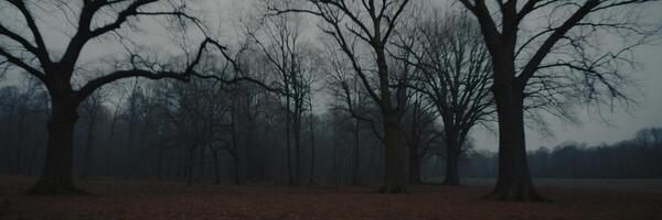 A dark and foggy forest with bare trees photo