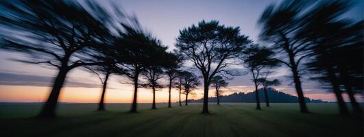 A long exposure photograph of trees in a field photo