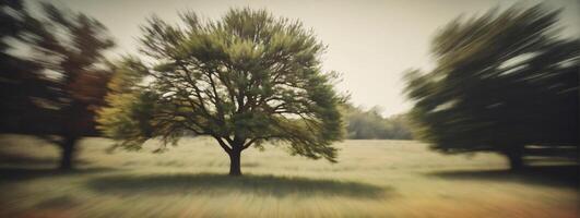 A blurry image of a tree in a field photo