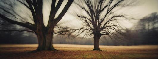 Two trees in a field with blurry motion photo