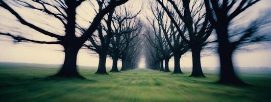 A blurry image of trees in a field photo