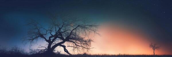 A tree in the middle of a field at night photo