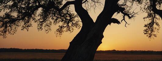 A tree with a bird in the middle of the sky photo
