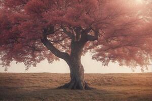A tree with pink leaves in the middle of a field photo