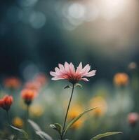 A pink flower is in the middle of a field photo