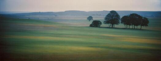 A field with trees and hills in the background photo