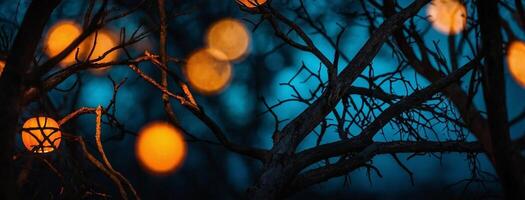 Orange lights on a tree branch photo