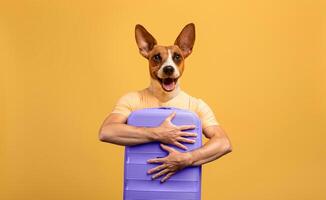 A dog with a human body and a suitcase stands against a yellow background. He is holding the suitcase to his chest with both arms. photo