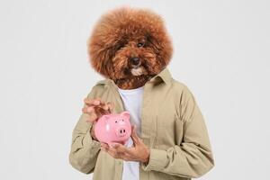 A whimsical scene showcases a poodle with a fluffy head paired with a human body, holding a pink piggy bank. The backdrop is light and simple, enhancing the playful nature of the act. photo