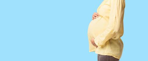 Unrecognizable Pregnant Lady Touching Belly Posing Over White Background In Studio. Side View, Panorama, Free Space photo