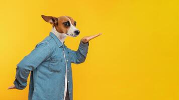 A dog dressed in a denim jacket stands proudly against a vibrant yellow backdrop, exhibiting a playful pose as it extends its paw outward in an engaging manner, copy space photo