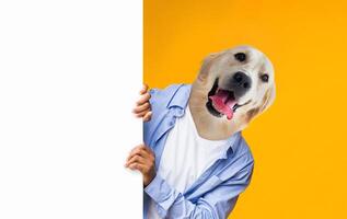 In a whimsical display, a person wearing a light blue shirt peeks out from behind a blank white surface, showcasing a golden retriever's head superimposed on their body. photo