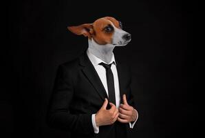 A dog with brown and white fur wears a black suit and tie, standing against a black background. The dog looks to the right, appearing serious and professional. photo