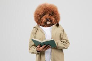 A person stands in a neutral-toned space, holding an open book while displaying a whimsical appearance with a fluffy dog's head instead of a human one photo