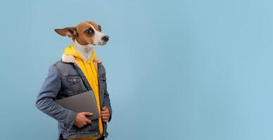 A dog wearing a yellow hoodie and a denim jacket is standing in front of a light blue background. The dog is holding a laptop in its front paws. The dog is looking to the copy space photo