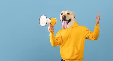 A cheerful dog, donning a vibrant yellow hoodie, enthusiastically holds a megaphone while standing against a soft light blue backdrop. The expression on the dog's face conveys excitement photo