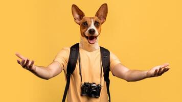 A happy dog wearing a backpack and holding a camera around its neck is standing in front of a yellow background, extending its arms out towards the viewer in a welcoming gesture. photo