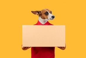 A dog, dressed in a bright red shirt, stands upright while holding a large blank box in its front paws. The vibrant yellow background adds a playful touch to the scene photo