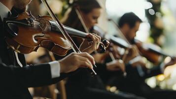 Skilled musicians perform a lively piece on violins in a beautifully decorated garden during a sunny afternoon. photo
