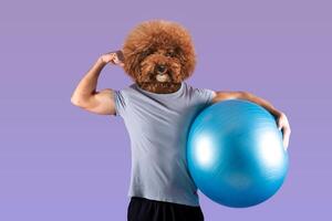 A muscular figure with a dog's head showcases strength by flexing one arm while gripping a blue stability ball. The setting features a simple purple background photo
