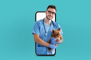 A veterinarian wearing blue scrubs and gloves is holding a Yorkshire Terrier while appearing to come out of a smartphone screen. The scene symbolizes a virtual pet consultation photo