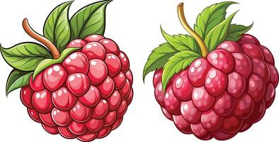 Raspberry 3d sticker design vector