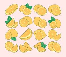 High-quality Illustration graphics of lemons in various poses, including whole lemons, halves, and slices. Ideal for food packaging, websites, and more. vector