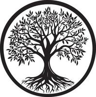 a black and white image of a tree with roots vector