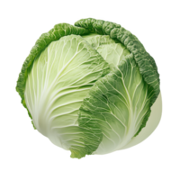Vibrant large cabbage resting against a pristine white background in high resolution png