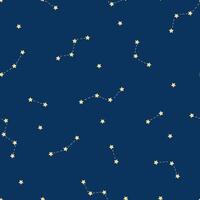 seamless pattern with constellations and stars. Astronomical background vector