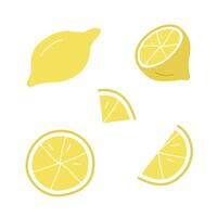Lemon set drawings, whole and lemon slices. illustration of a yellow citrus fruit. vector