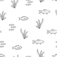 Seamless pattern with fish and algae doodle style. illustration dorado carp, background. vector