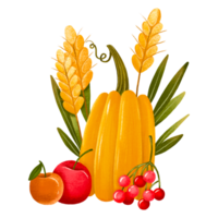 Harvest with pumpkin and apples. Rural postcard. Thanksgiving and autumn harvest. Hand drawn illustration on isolated background png
